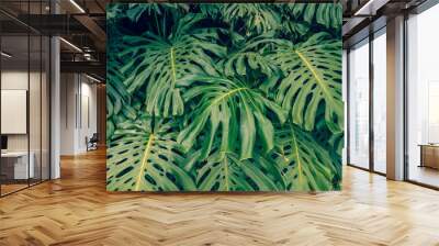 Close up Pile of Leaves Monsters with palm leaves. Wall mural