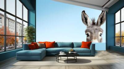 Creative Animal Concept. Donkey peeking over pastel bright background. Generative AI. Wall mural