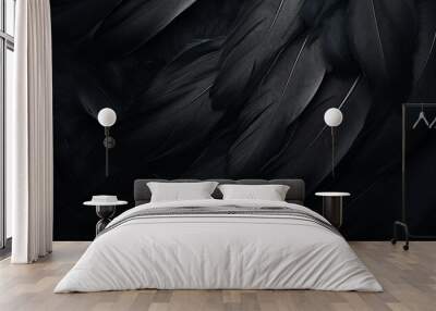 Detailed black feathers texture background Wall mural