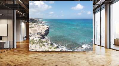 Isla Mujeres South Point Cancun Mexico rocky shore blue water and crashing waves 2020 Wall mural