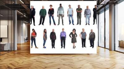 group of mixed people on white Wall mural