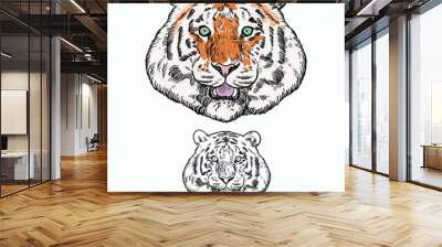 Vintage hand drawn sketch colored white tiger Wall mural