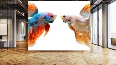 Aquarium Fish Set Isolated on Transparent or White Background, PNG Wall mural