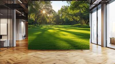 Green Lawn Panoramic Background Wall mural