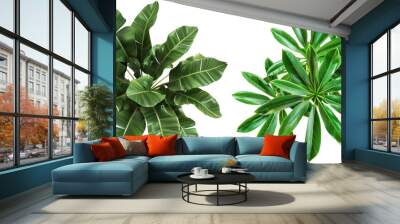 Tropical Plant Set from Top View Isolated on Transparent or White Background, PNG Wall mural