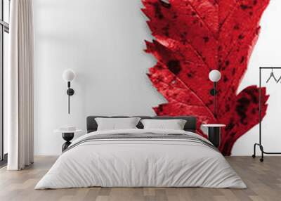 Autumn Leaf Wall mural