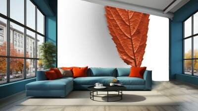 autumn leaf Wall mural