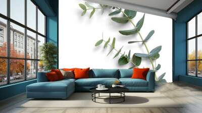 Eucalyptus Branch Wall mural