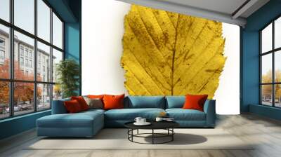 hornbeam leaf Wall mural