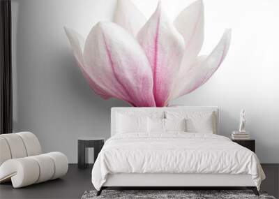 Magnolia Head - Flatlay Wall mural