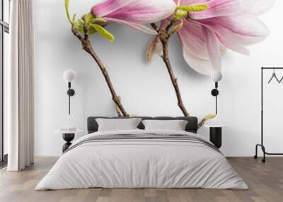 Magnolias with Branches Wall mural