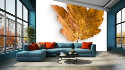 maple leaf Wall mural