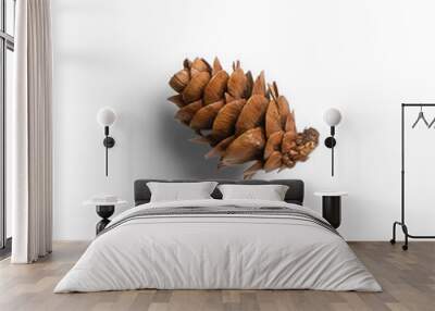 Small Pine Cone 5 Wall mural