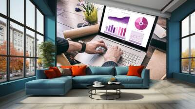 Young businessman working at laptop computer with finance report. Business Research, Economic statistics concept Wall mural