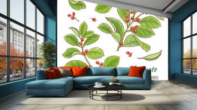 yerba mate vector set Wall mural