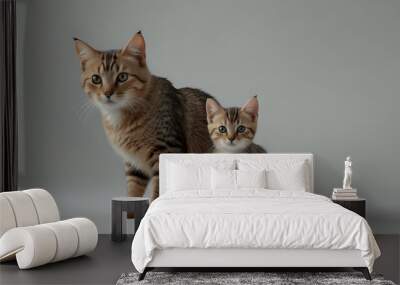 Two cats on a white background, a kitten with its mother on a white background Wall mural