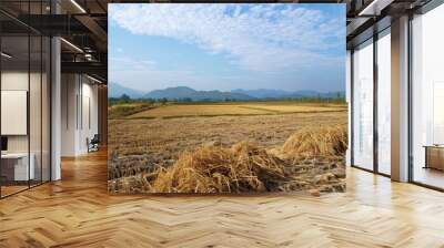 Abandoned rice stubble post harvest Wall mural