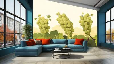 Bunches Of Green Grapes Hanging On Vines In A Vineyard On A Sunny Day Wall mural