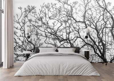 art of tree branch Wall mural