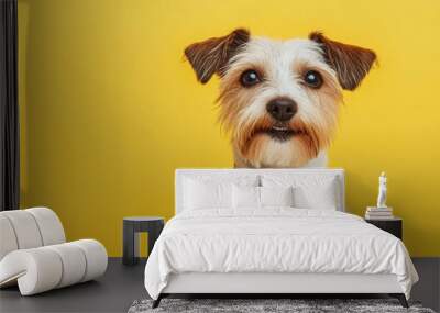 A dog wearing a blue bow tie is standing on a yellow background Wall mural