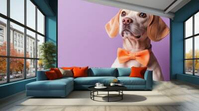 A dog wearing a bow tie is standing in front of a purple background Wall mural