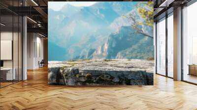 Rocky Mountain Overlook With Lush Greenery and Blue Sky Wall mural