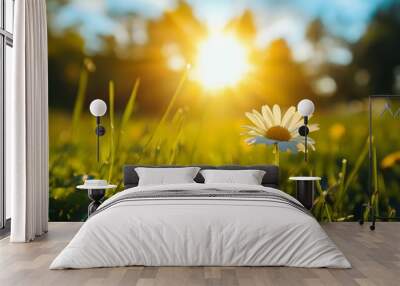 Bright Yellow Daisy Flowers Blooming in Lush Green Meadow with Sunlight Wall mural