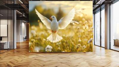 White Dove Flying in Golden Meadow with Sunlight Beams Wall mural