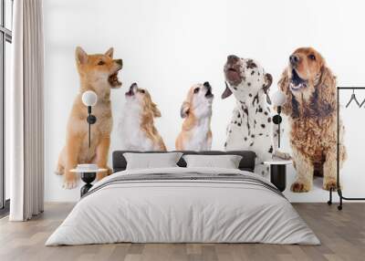 group of dogs howling Wall mural