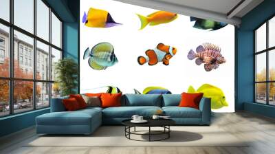 group of fishes Wall mural