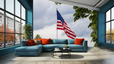 Close up view of an American flag on a flagpole, partially bordered with trees and with overcast sky Wall mural