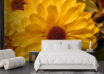 Full frame macro abstract texture background of an indoor floral arrangement, featuring yellow gerbera daisies Wall mural