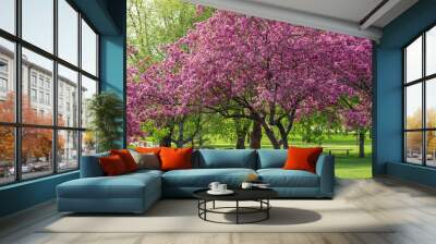 Landscape view of deep pink color ornamental apple trees in full bloom in an ornamental botanical garden Wall mural