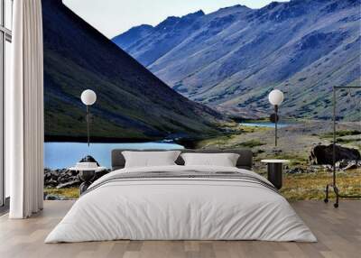 Mountains and Waters Wall mural