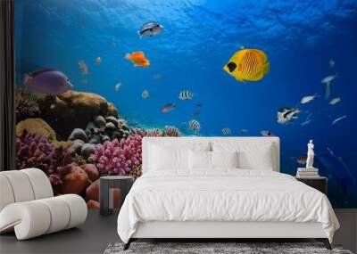 Under the ocean surface colorful corals and exotic fish in blue seas Wall mural