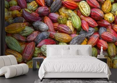 Closeup view of heap of bright and colorful cocoa pods after harvest, Bada valley, Lore Lindu National Park, Central Sulawesi, Indonesia Wall mural