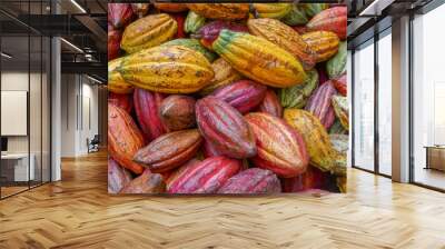 Colorful closeup view of a pile of cocoa pods after harvest, Bada valley, Lore Lindu National Park, Central Sulawesi, Indonesia Wall mural