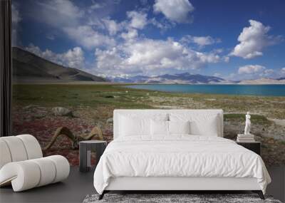 Colorful landscape view of Karakul lake shore, with Muskol mountain range in background and Marco Polo sheep skull,  Murghab, Gorno-Badakshan, Tajikistan Pamir Wall mural