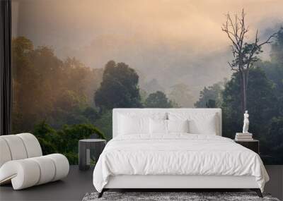 Dreamy landscape with fog and early morning light in tropical forest, Chiang Dao, Chiang Mai, Thailand Wall mural