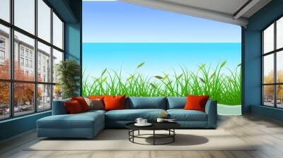 reeds water, reed grass in the beach with sky background Wall mural