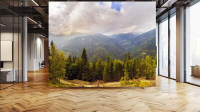 beautiful wild mountain landscape in the carpathian mountains, r Wall mural