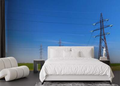 electricity pylons on a farm field Wall mural