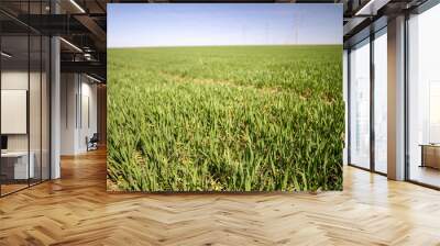 electricity pylons on a farm field Wall mural