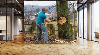 Lumberjack worker chopping down a tree breaking off many splinters in the forest with big axe. Wall mural