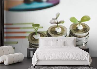 Gold coins stacks is representing riches and wealth management. Coin stack growing and find out the way to get a return on investment. Finance and money exchange investment as concept. Wall mural