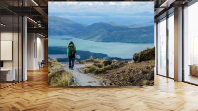 Girl tourist hiker looking at view of lake Rotoaira and lake Taupo from Tongariro Alpine Crossing hike with clouds above Wall mural