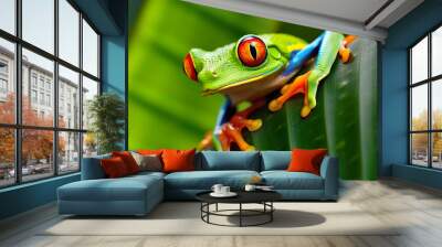 The very curious red-eyed tree frog is sitting on the green leaf and basking in the sunlight. Cute tree frog look. Natural background. AI generated. Wall mural