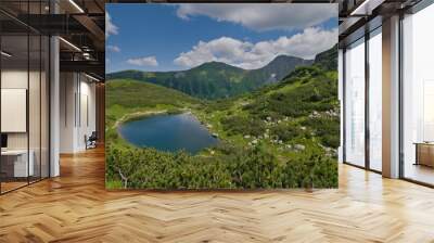 View to one of four Rohacske plesa mountain lakes in Vysoke Tatry mountains. Lakes  are 1719 metres above the sea surrounded by mountains peaks more than 2000 metres above the sea. Slovak nature. Wall mural