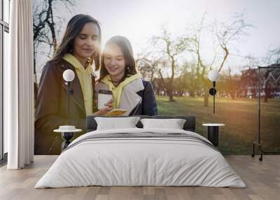 Two happy teenage girls friends using on mobile phone while resting at the park                      Wall mural