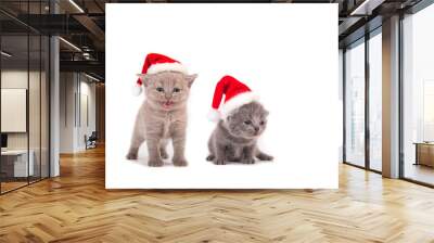 Two small kitten in the cap of Santa Claus. Cat one month. Wall mural